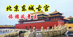 日本动漫男人靠女人无码中国北京-东城古宫旅游风景区